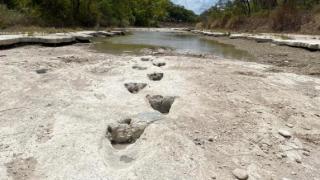 Urme de dinozaur, vechi de circa 113 milioane de ani, descoperite în albia unui râu din SUA care a secat