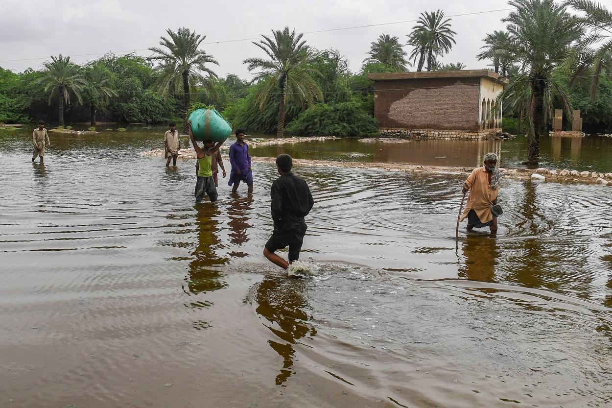 Peste 900 de persoane au murit