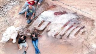 Rămășițele celui mai mare schelet de dinozaur descoperit în Europa, dezgropate dintr-o grădină din Portugalia