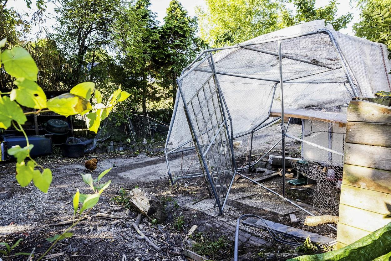 Imagini de la faţa locului