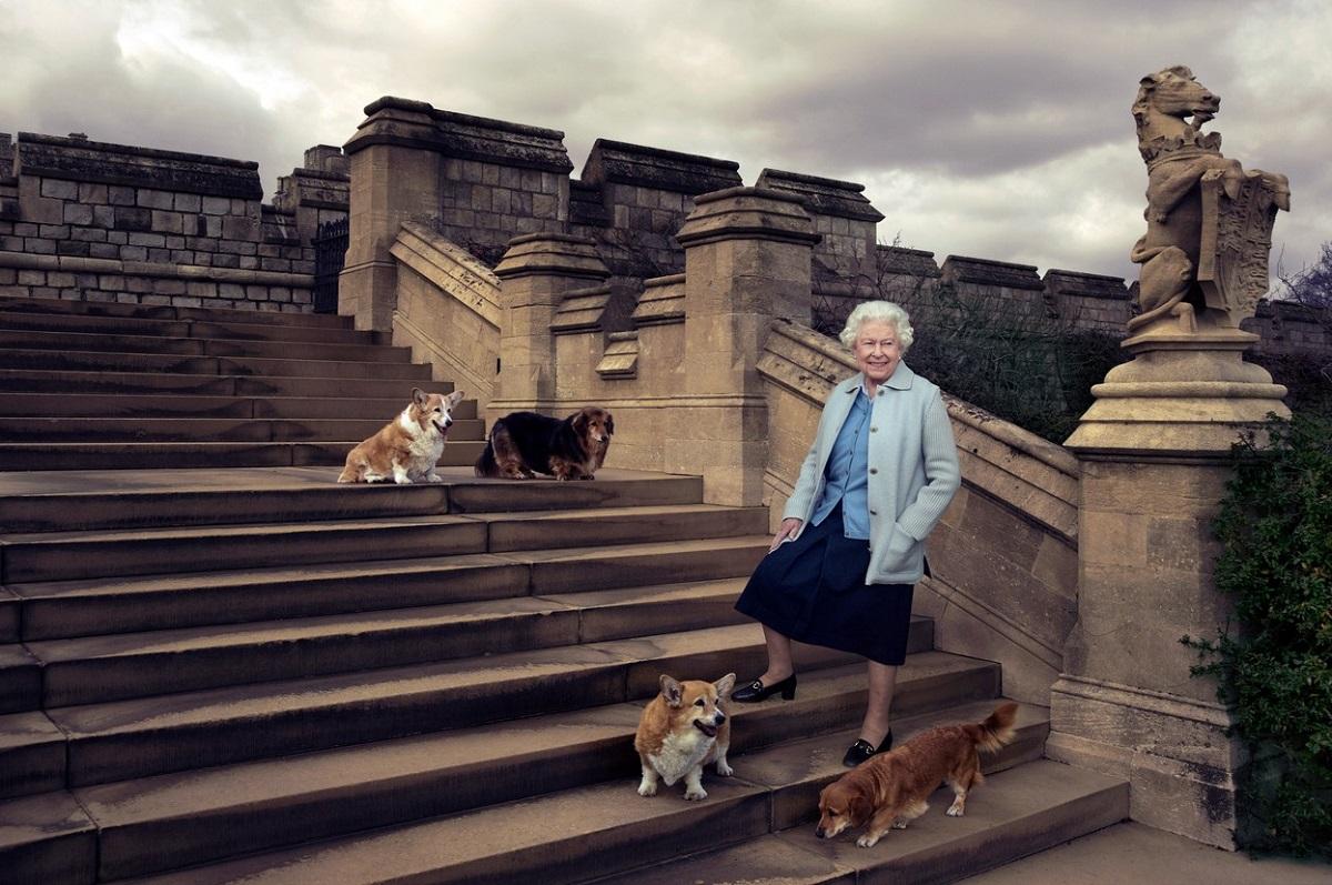 Cine va avea grijă de câinii din rasa corgi ai reginei Elisabeta a II-a