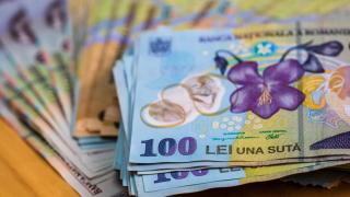 Coface: Românii cu credite legate de IRCC vor plăti rate duble la anul. Şomajul va creşte