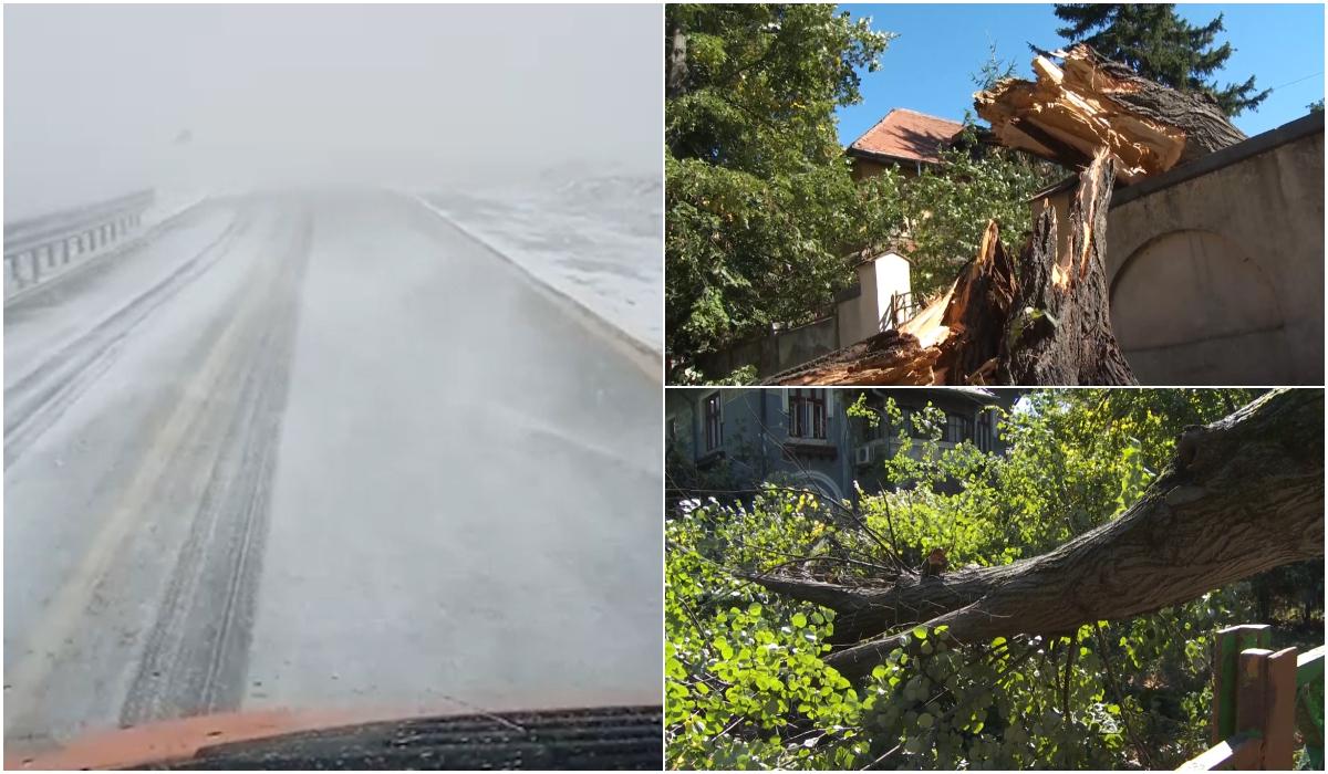 Vijeliile au făcut prăpăd în aproape toată ţara. Vântul a doborât copacii peste case, zeci de maşini au fost avariate. La mune a fost viscol în toată regula