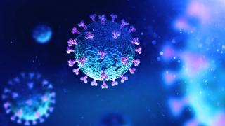Bilanţ coronavirus în România 24 septembrie. Peste 1.000 de cazuri și 4 decese, în ultimele 24 de ore