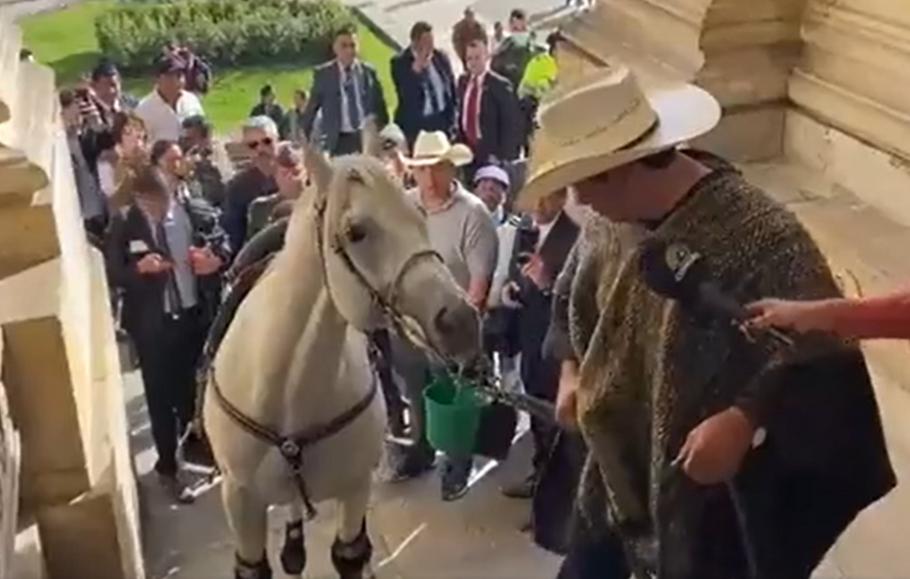 Senatorul a venit cu calul în Congres Senatorul a venit cu calul în Congres