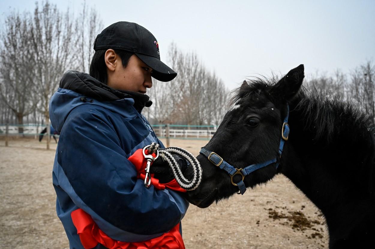 Premieră în China: "Zhuang Zhuang" este primul cal clonat din ţară. Cum ajută procesul de clonare dezvoltarea sporturilor ecvestre