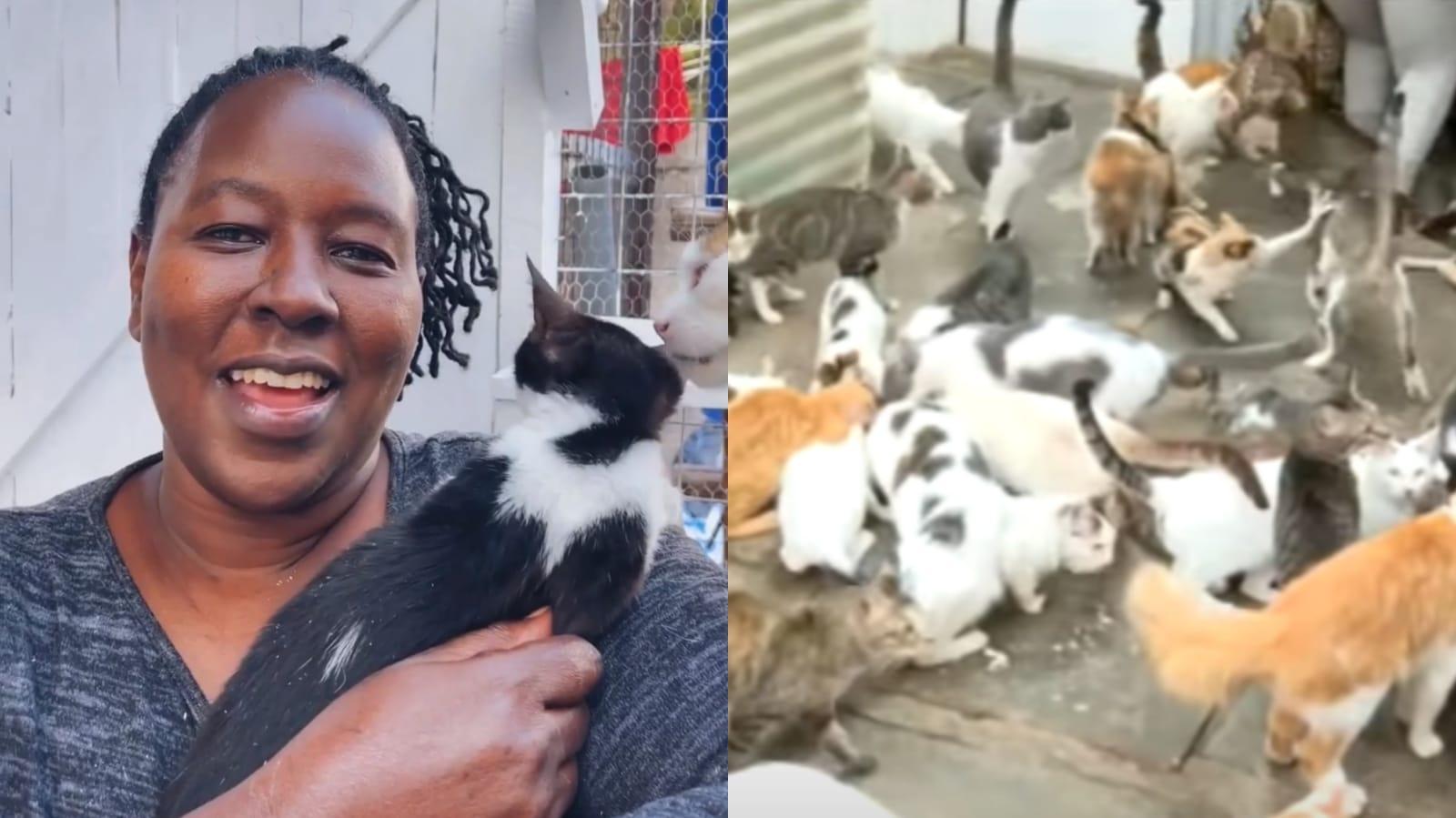 O femeie din Kenya îşi împarte locuinţa cu 600 de pisici