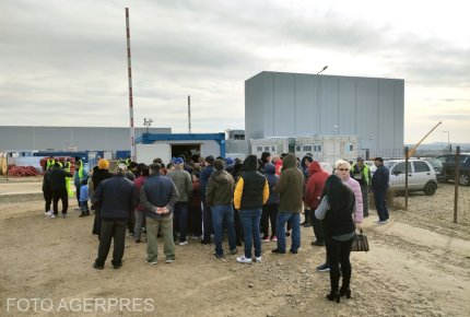 Românii au stat la coadă pentru a se angaja la o fabrică nouă din Tulcea. Reacţia unui bărbat întors din Anglia: "Am lucrat în afară, dar s-au stricat lucrurile şi acolo