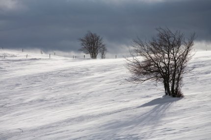 Alertă de ploi și viscol în 12 județe. Codul galben este valabil până duminică, la 20:00