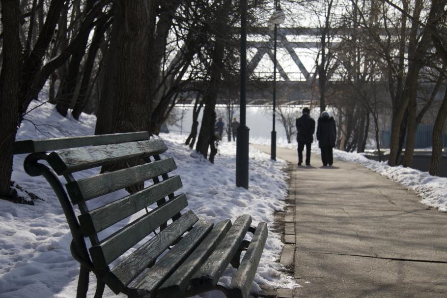 iarnă într-un parc din România iarnă în România