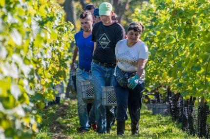 Veşti proaste pentru sute de mii de români. Singura ţară din vestul Europei unde economia va scădea în 2023