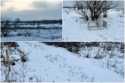 54 de câini au fost capturaţi în zona Lacul Morii, unde a murit Ana Oros, susţine ASPA. 88 de maidanezi, ridicaţi din Bucureşti