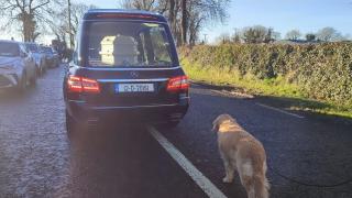 Imaginea durerii: Un câine loial a mers în spatele sicriului stăpânei, pe drumul spre cimitir. Omagiu sfâșietor adus bătrânei din Irlanda