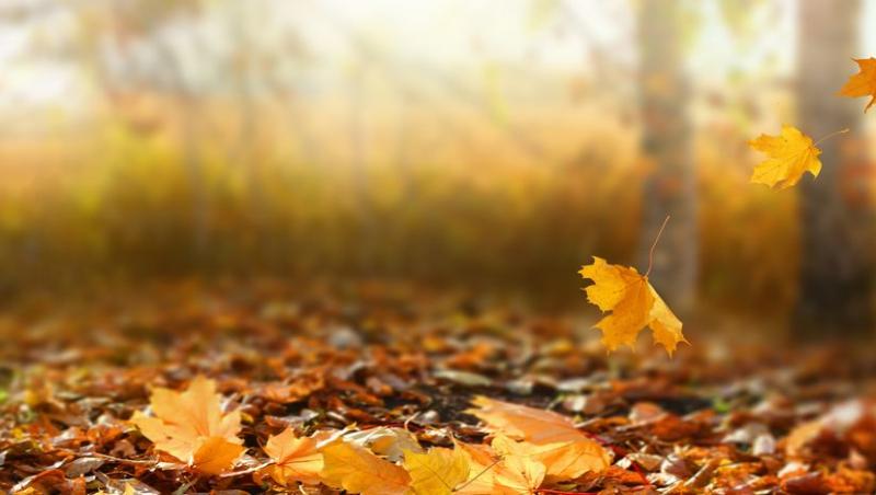 Vremea de mâine 2 octombrie. Se mai răcoreşte în aproape toată ţara, iar temperaturile se vor situa înte 3 şi 25 de grade