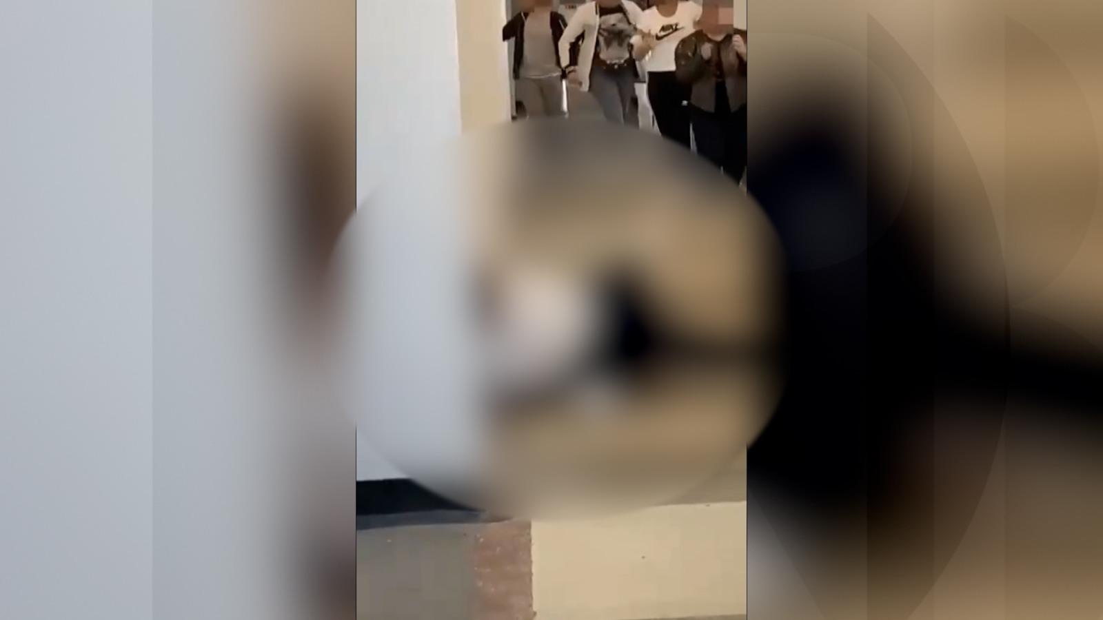 Două eleve de clasa a 7-a şi-au împărţit pumni ca într-un meci de box, la o şcoală din Olt. Motivul disputei, un băiat