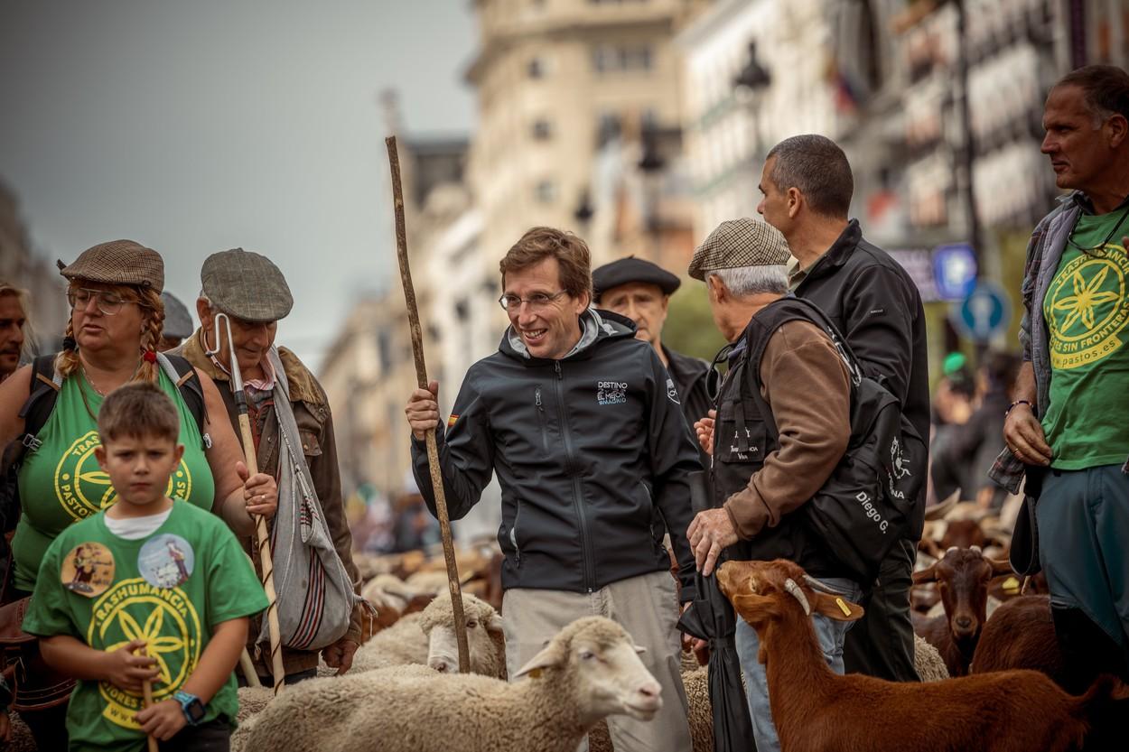 "Este uimitor!" Spectacol pe străzile din Madrid, ocupate de oi. Pastorii şi-au mânat turmele urmând vechile rute către păşunile de iarnă