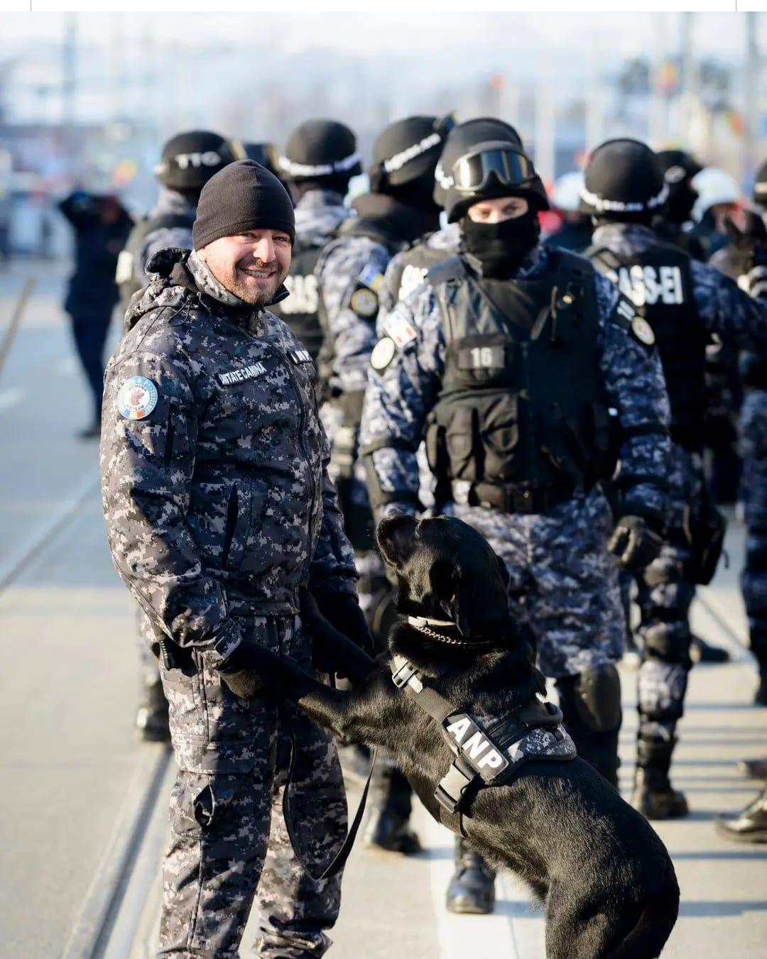 Doliu în Penitenciarul Iaşi. A murit Tina, cel mai curajos câine de serviciu, care şi-a ajutat camarazii pentru un deceniu.