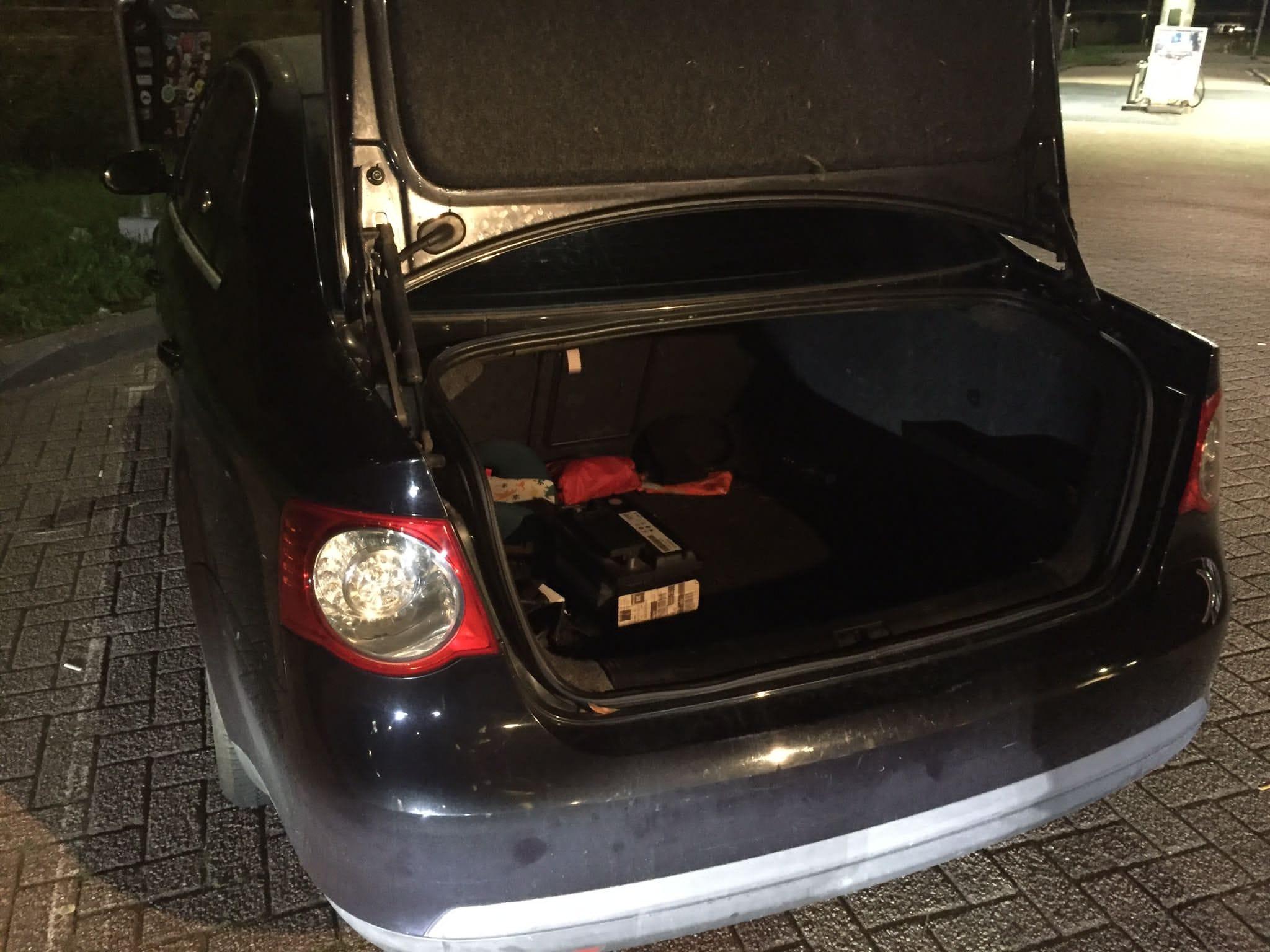 Român din Olanda, descoperit cu o oaie ascunsă în portbagajul mașinii. O furase de la o gradină zoologică