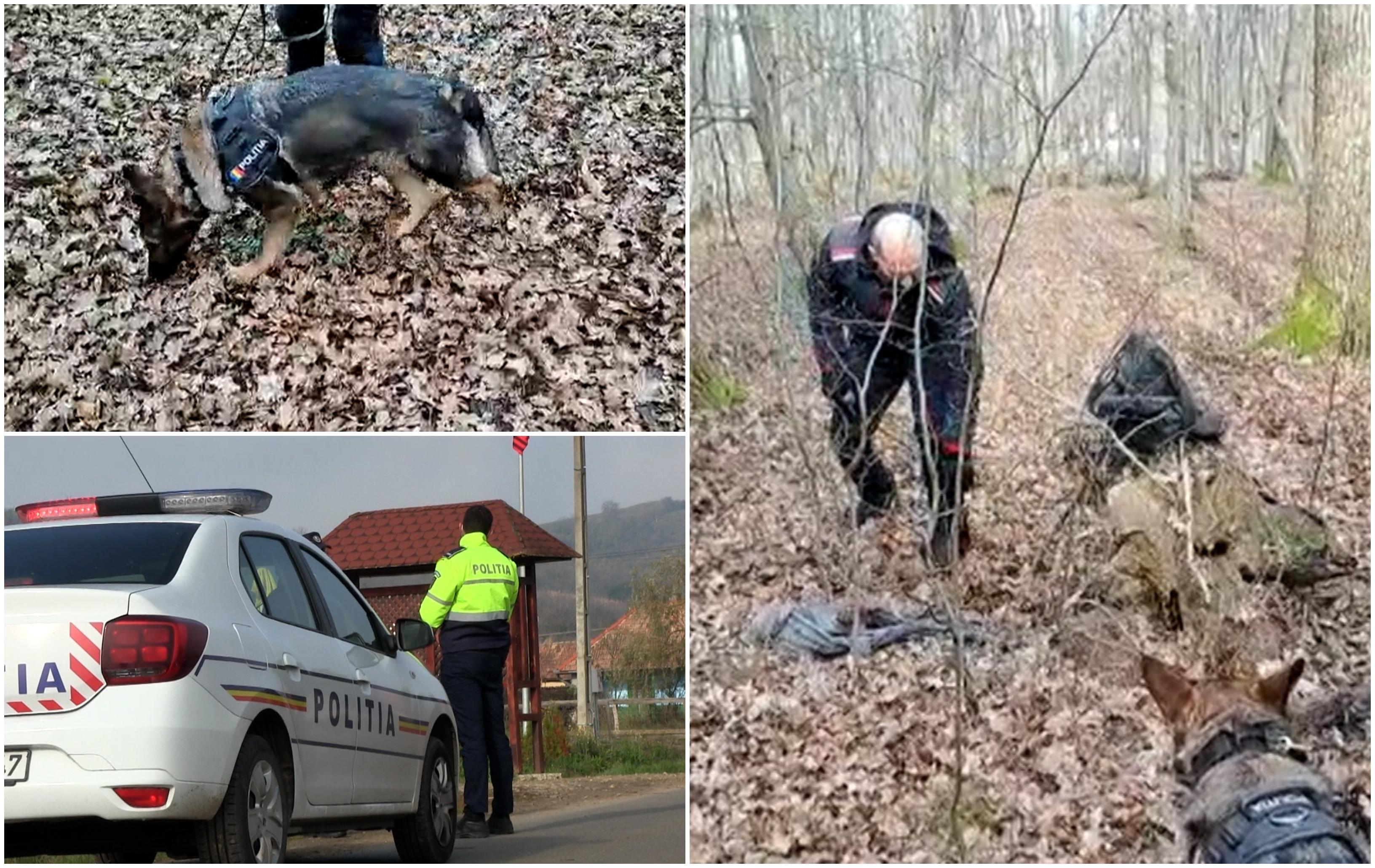 Un gălățean și-a omorât cu sânge rece iubita și s-a făcut nevăzut. Bărbatul, căutat de zile întregi: ce indicii au polițiștii până acum