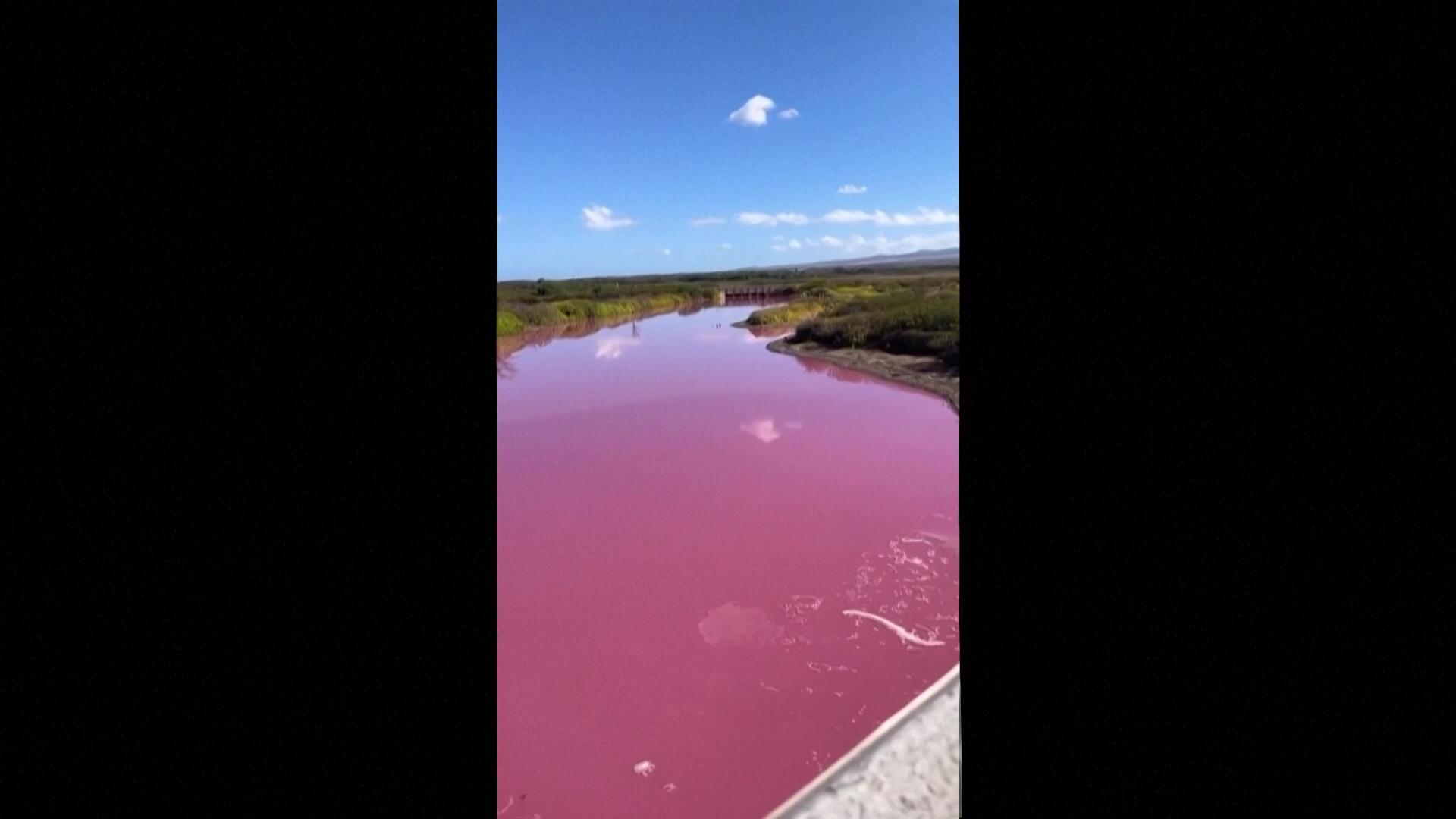 Un iaz unic din lume şi-a transformat misterios culoarea. Motivul din spatele fenomenului este îngrijorător