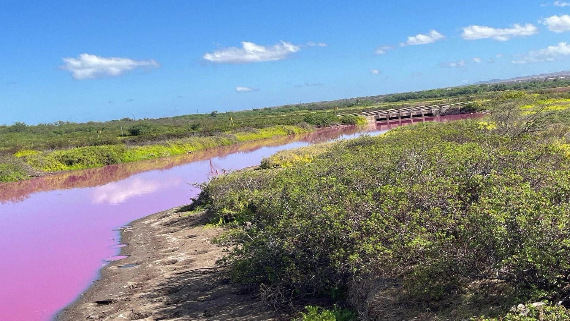 Un iaz unic din lume şi-a transformat misterios culoarea. Motivul din spatele fenomenului este îngrijorător