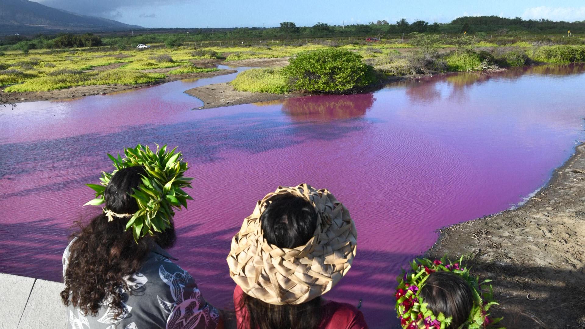 Un iaz unic din lume şi-a transformat misterios culoarea. Motivul din spatele fenomenului este îngrijorător