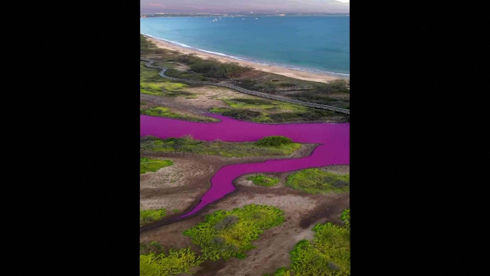 Un iaz unic din lume şi-a transformat misterios culoarea. Motivul din spatele fenomenului este îngrijorător