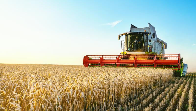 Trei sferturi din valoarea producţiei agricole a UE, realizată de doar 7 țări. România, la coada clasamentului alături de Cipru