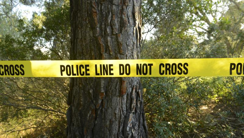 Un paşaport românesc descoperit lângă un cadavru într-o pădure din Germania ar putea rezolva cazul dispariţiei unui bărbat din 2019