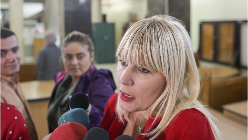 ICCJ respinge recursul în casaţie al DNA în dosarul Elenei Udrea şi Ioanei Băsescu