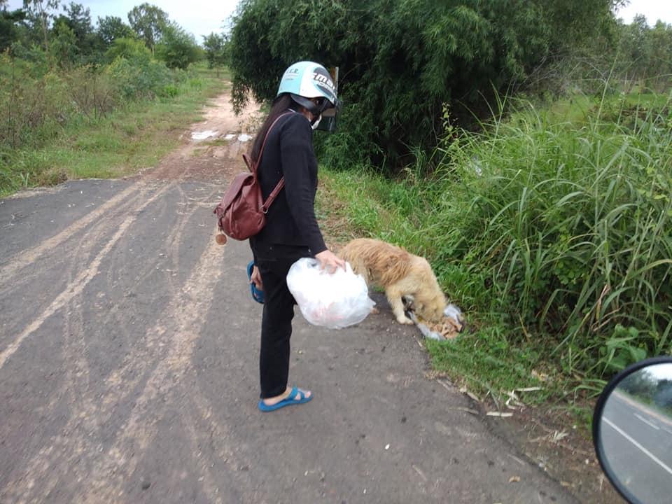 Motivul trist pentru care un câine a aşteptat 4 ani pe marginea unei şosele. BonBon a refuzat să plece, deşi a fost adoptat de un bărbat, în Thailanda