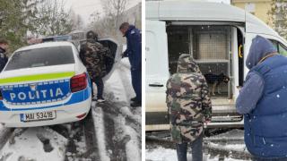Un bărbat fără adăpost din Constanţa a cerut ajutorul poliţiştilor pentru el şi câinele lui. Cum au reacţionat autorităţile