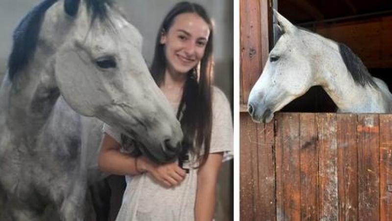 "Aș face orice, numai să o am iar alături". Apelul unei studente din Cluj, care caută cu disperare calul de de care s-a ataşat şi pe care încearcă să îl salveze