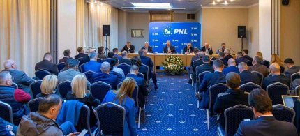 PNL a ales varianta candidaturii pe liste proprii în alegerile din 2024