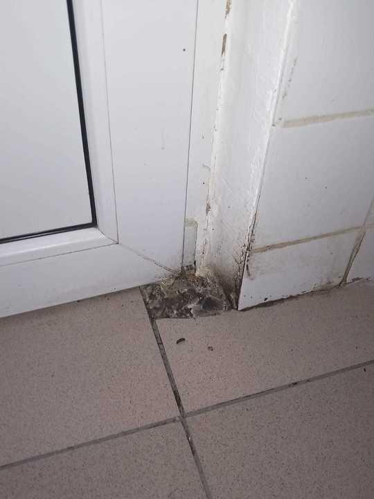 Taverna Poseidon din Câmpina, amendată de ANPC