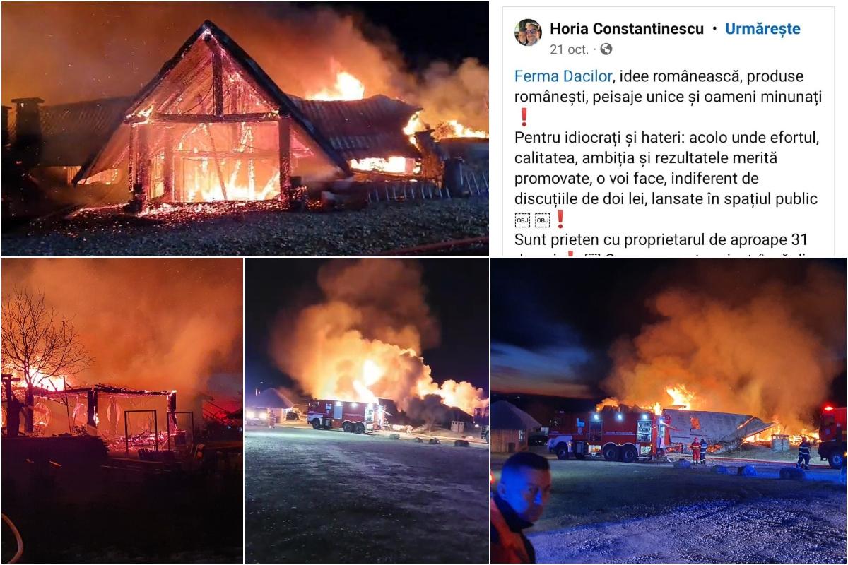 Şeful ANPC, Horia Constantinescu, lăuda pensiunea Ferma Dacilor în octombrie: "Jumări ca aici nu găseşti nicăieri în lume"