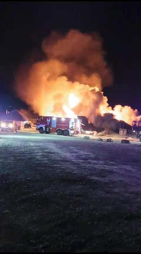 Şeful ANPC, Sorin Constantinescu, lăuda pensiunea Ferma Dacilor în octombrie: "Jumări ca aici nu găseşti nicăieri în lume"