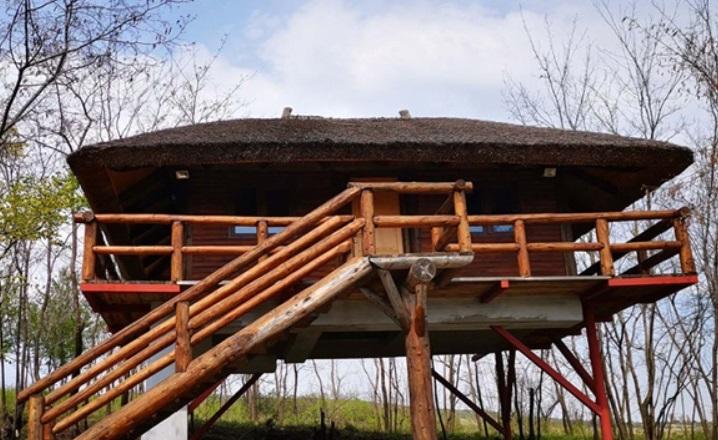 Incendiu la Ferma Dacilor. Cum a ajuns de la un grajd de animale, la un complex cu peste 20 de camere şi cabane. Cât costă cazarea şi ce profit a avut anul trecut