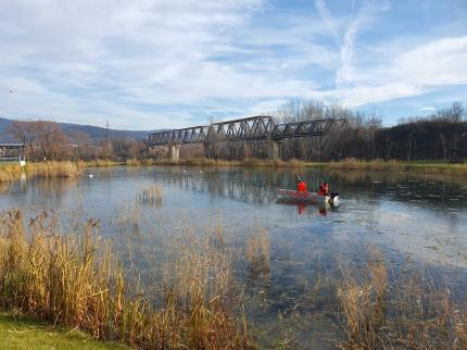 Pompierii au salvat o lebădă rămasă blocată în gheaţă, pe un lac