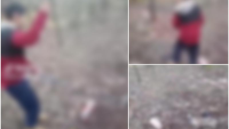 Un copil de 12 ani s-a filmat cum biciuieşte o pisică într-o pădure din Braşov, apoi s-a lăudat pe TikTok. Un adolescent de 16 ani i-a fost complice