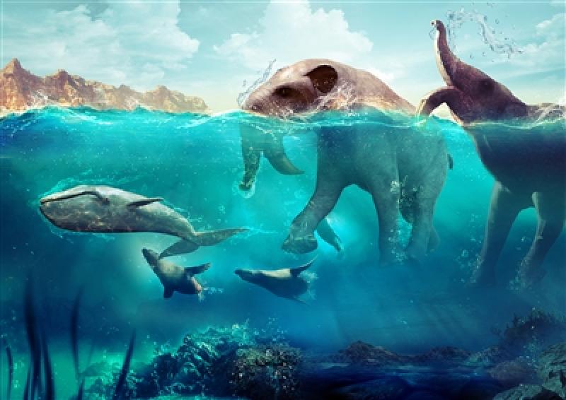 Cel mai mare lac de pe Pământ, Paratethys, descoperit de cercetători români. Recordul, publicat în Guinness World Records, în peste 40 de limbi Cel mai mare lac de pe Pământ, Paratethys, descoperit de cercetători români. Recordul, publicat în Guinness World Records, în peste 40 de limbi