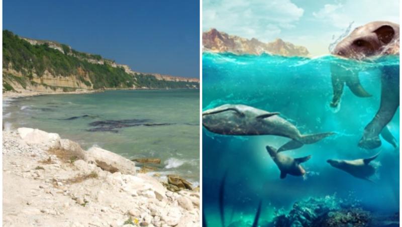 Cel mai mare lac de pe Pământ, Paratethys, descoperit de cercetători români. Recordul, publicat în Guinness World Records, în peste 40 de limbi