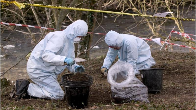 Descoperire șocantă, în Argeș. Un antebraț uman cu urme de mușcături, găsit de un localnic în apropierea râului Dâmboviţa