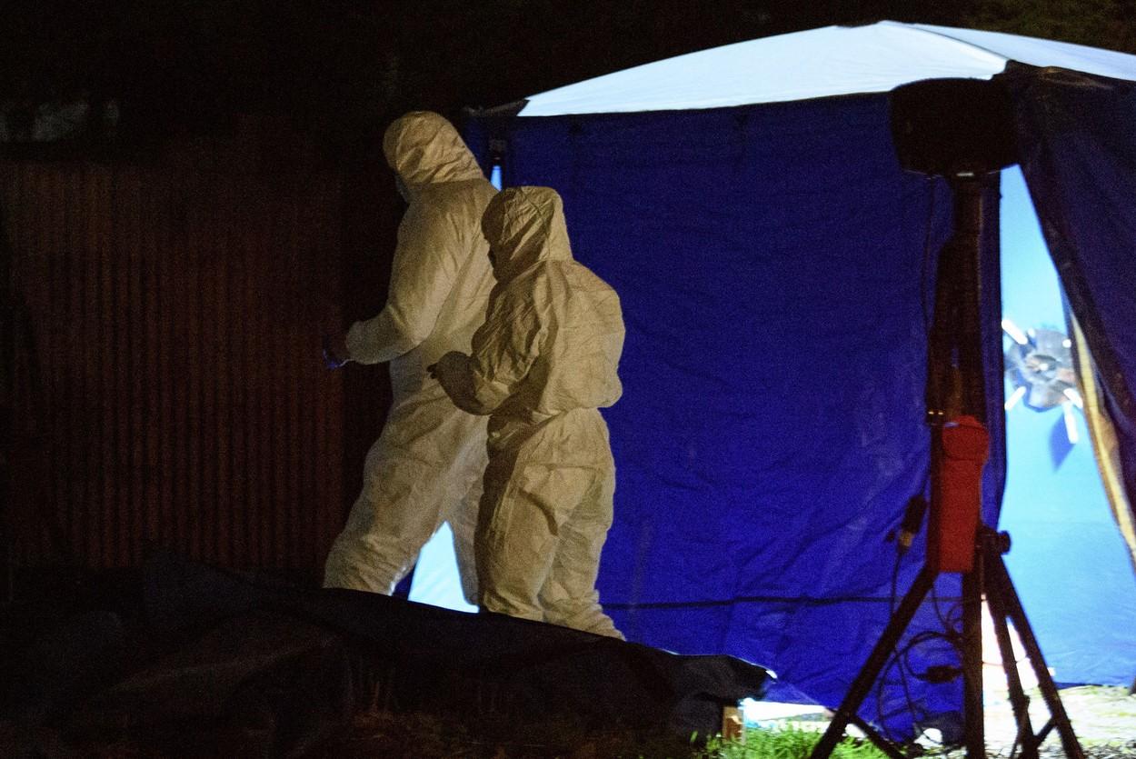 Copil sfâşiat de câine, în curtea casei