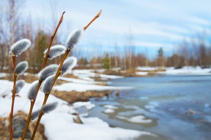 Vremea 13 februarie - 13 martie. După ger şi ninsori, vremea se va încălzi brusc