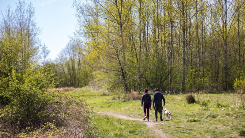 O adolescentă a fost atacată și violată într-un parc din UK. S-a luptat cu atacatorul, însă n-a scăpat din mâinile lui