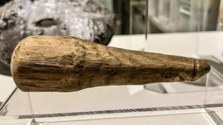 Jucărie sexuală veche de 2.000 de ani, descoperită de arheologi. Ar putea fi primul obiect de acest fel