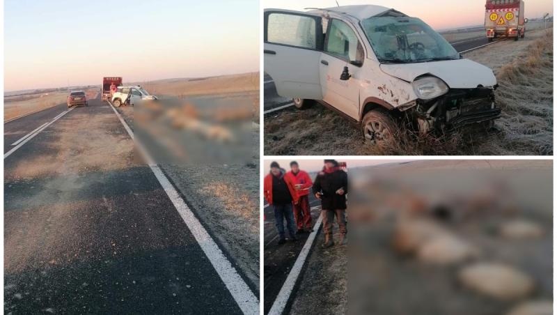 18 oi au murit, după ce au fost spulberate de o maşină în timp ce traversau o şosea din Timiş