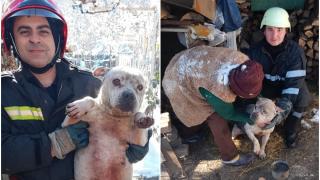 O bătrână din Mehedinți a trăit clipe de panică, după ce câinele ei a căzut într-o fântână adâncă de 13 metri. Misiunea i-a emoționat pe pompieri
