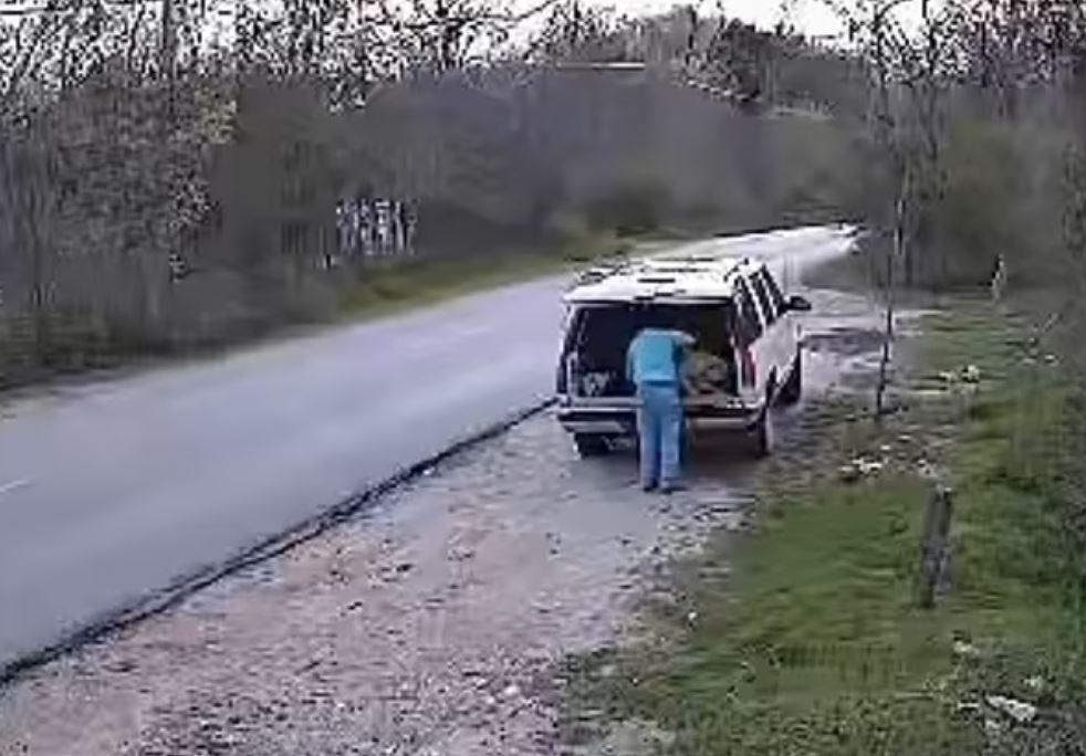 Câinele abandonat a luat-o la goană în urma maşinii stăpânului